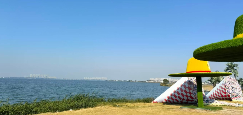 1764229265166376.jpg 1_副本.jpg